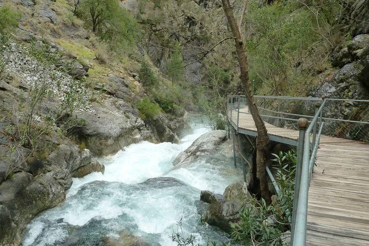 Monster Green Canyon Safari with Lunch