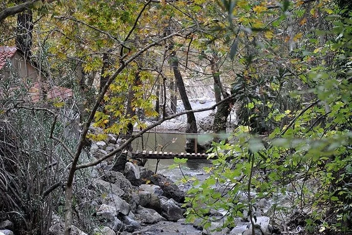 Monster Green Canyon Safari with Lunch