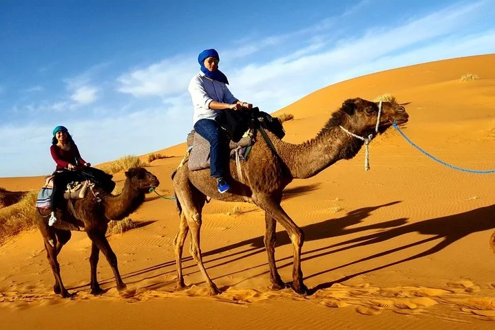 Morning Camel Trekking with Dune Bashing and Sand Boarding