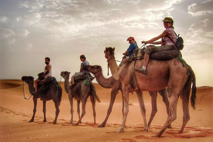 Morning Camel Trekking with Dune Bashing and Sand Boarding