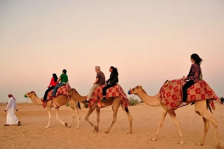 Morning Desert Dune Bashing Safari