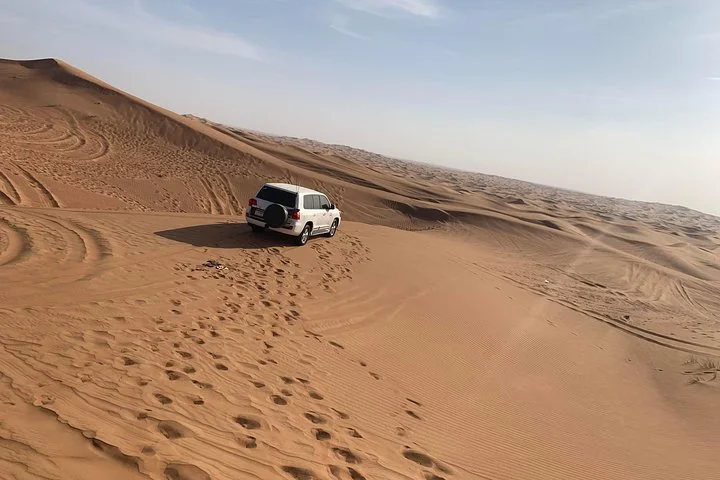 Morning Desert Dune Bashing Safari