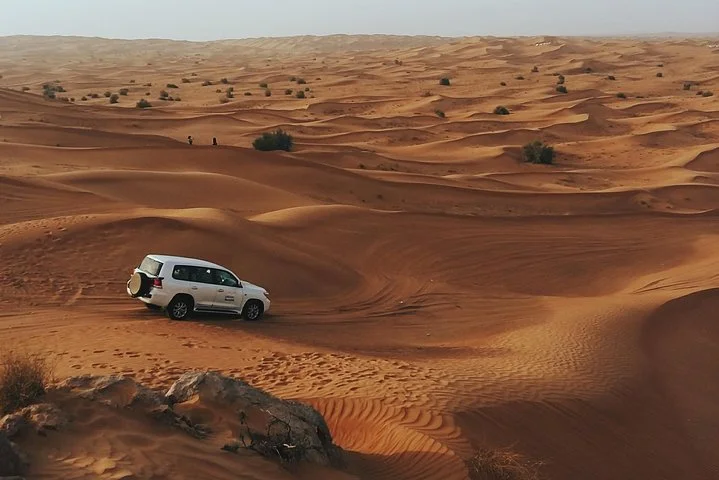 Morning Desert Safari