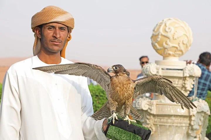 Morning Desert Safari Dubai, Dune Bashing, Camels & Sandboarding