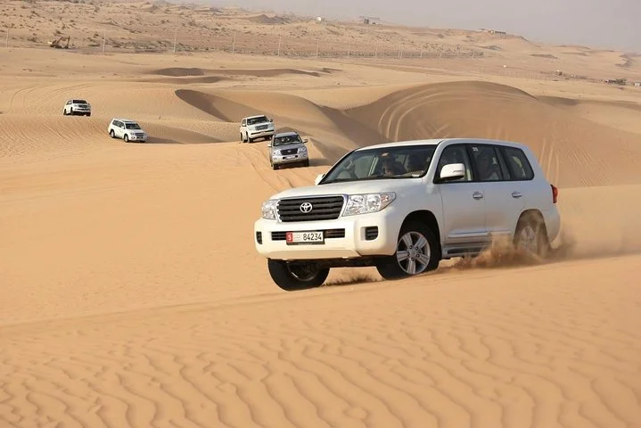 Morning Desert Safari in 4x4 Shared Vehicle