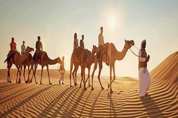Morning Desert Safari With 1 Hour Camel Trekking & Sandboarding