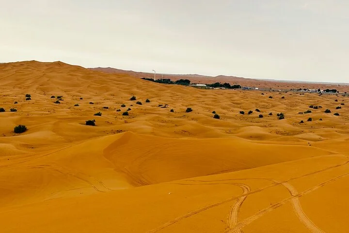 Morning Desert Safari with ATV bike