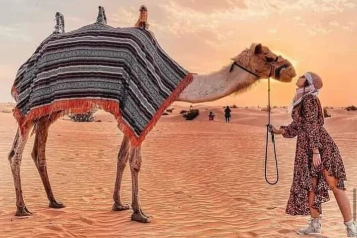 Morning Desert Safari with Dune Bashing & Camel Ride