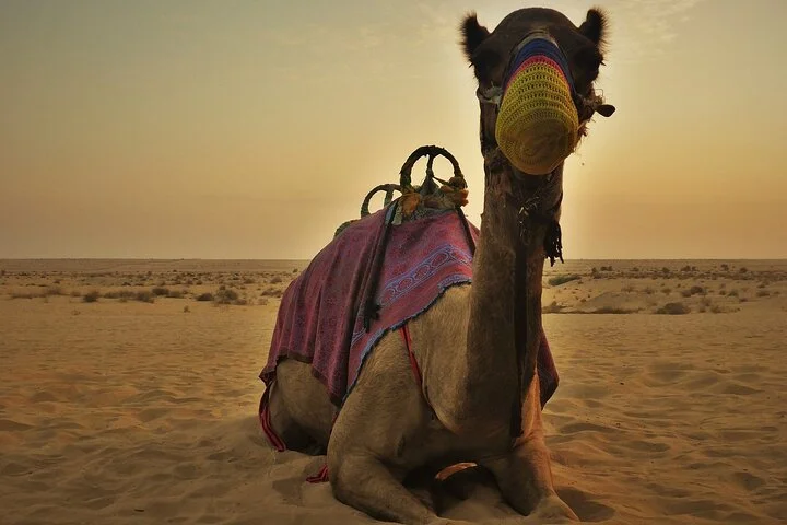 Morning: Desert Safari with Quad Bike