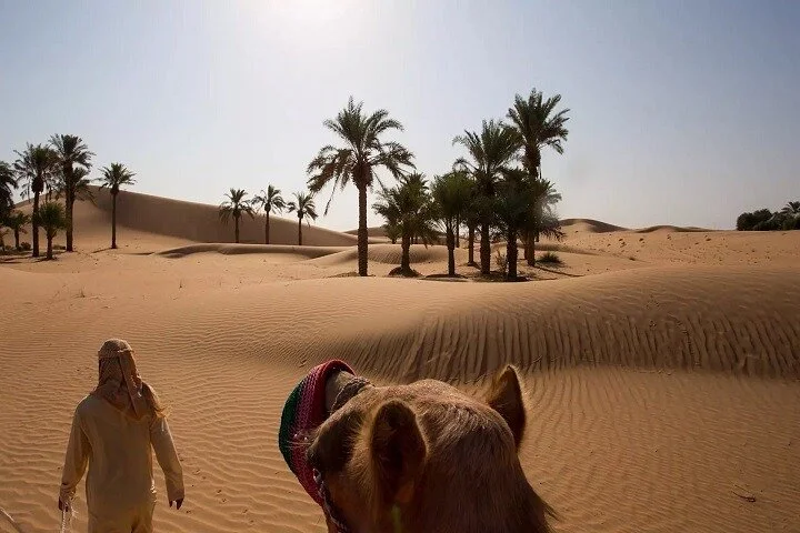 Morning Desert Safari with Red Dune Buggy and Camel Ride Dubai