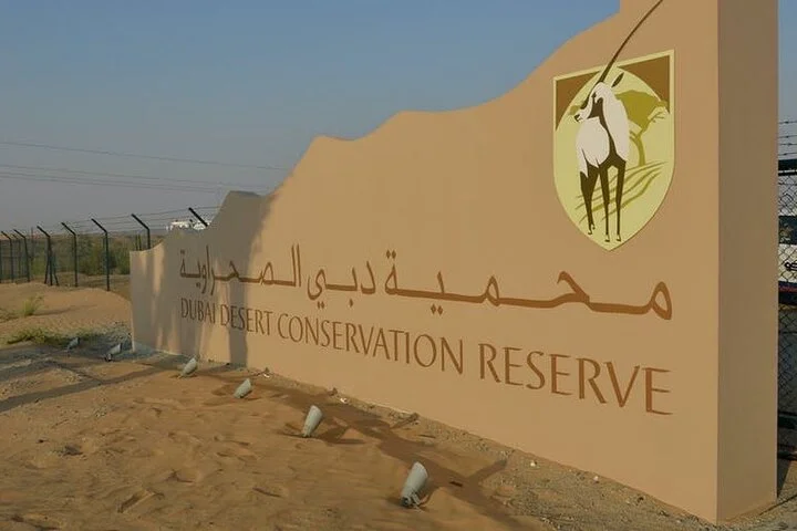 Morning desert safari with transport from Dubai