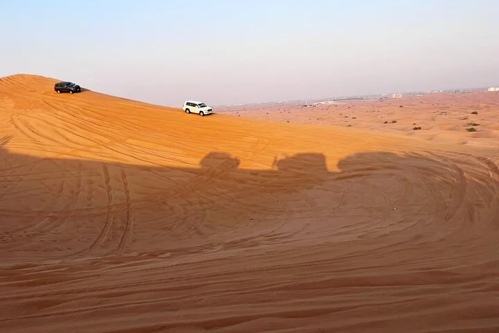 Morning Dubai Desert Dune Bashing and Camel Ride