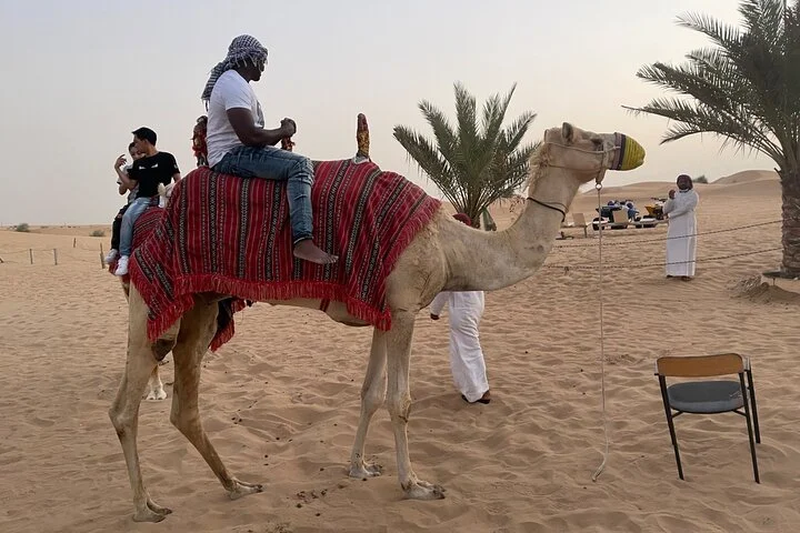 Morning Dune And Sand Boarding With Camel Ride
