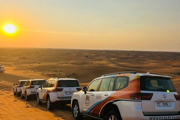 Morning Safari (Private Car)