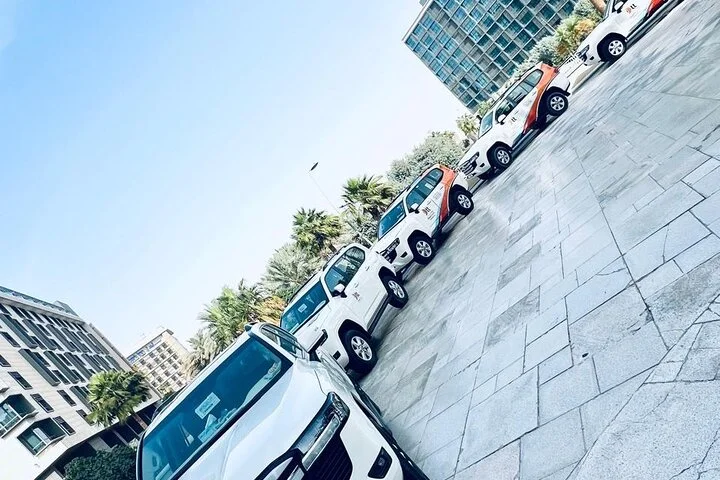 Morning Safari (Private Car)