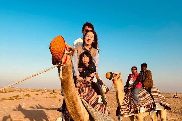 Morning Safari (Private Car)