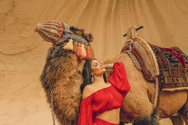 Morning Safari (Private Car)