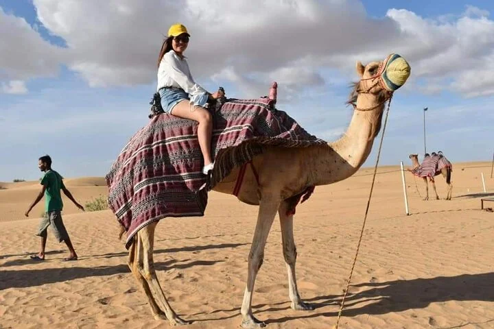 Morning Thrilling Dune bashing , Send Boarding & Camel ride