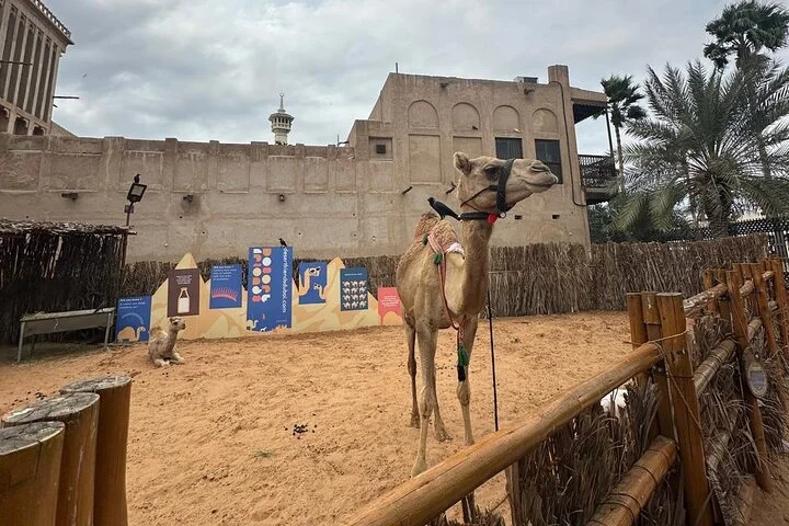 Old Dubai Walking Tour: Visit of Historical Village & Souks