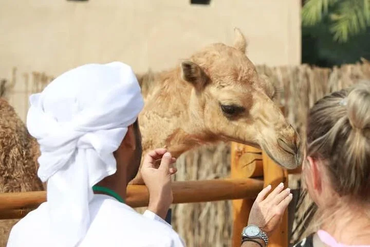 Old Dubai Walking Tour with Local Guide