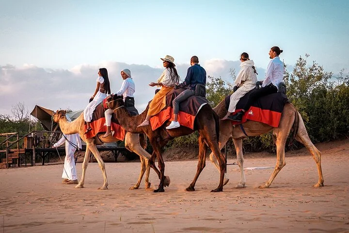 Overnight Dubai Desert Safari: BBQ, Soft Drinks & Stargazing