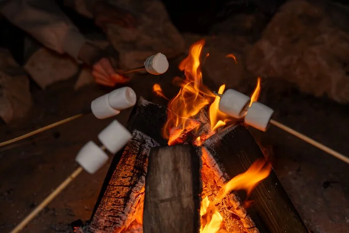 Overnight Dubai Desert Safari: BBQ, Soft Drinks & Stargazing