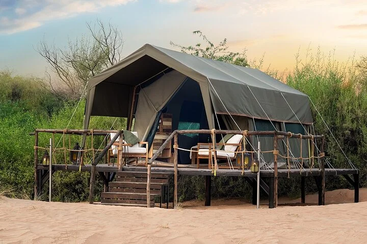 Overnight Dubai Desert Safari: BBQ, Soft Drinks & Stargazing