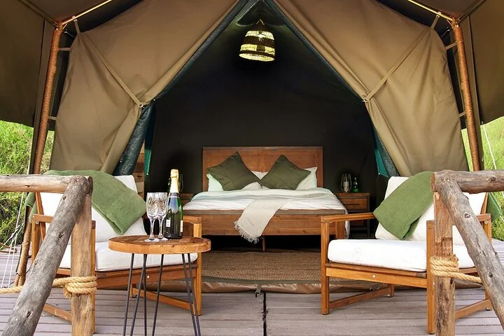 Overnight Dubai Desert Safari: BBQ, Soft Drinks & Stargazing