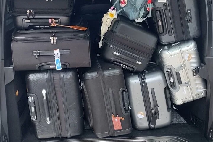 Paris Charles de Gaulle Airport Private Arrival Transfer