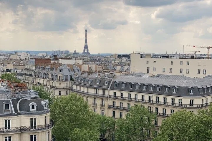 Paris Charles de Gaulle Airport Private Arrival Transfer