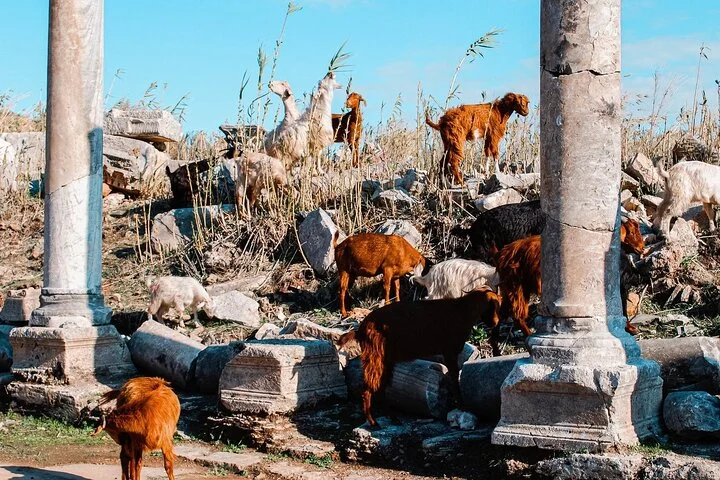 Perge and Aspendos Tour