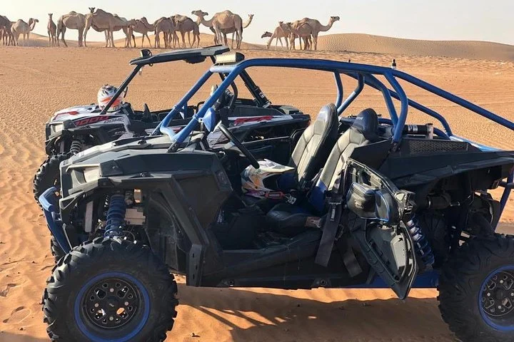 Polaris RZR 1000cc 2seater Desert Adventure Guided Tour