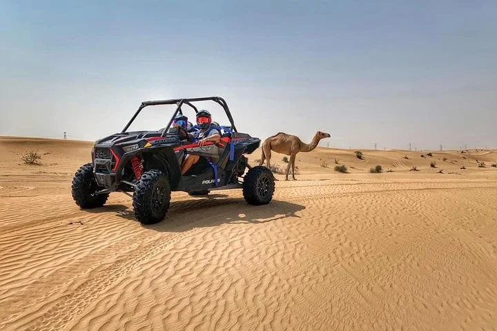 Polaris RZR 1000cc 2seater Desert Adventure Guided Tour