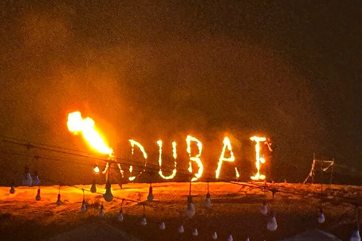 Premium Desert Safari Dubai , Camel Ride Sand board , BBQ & Shows