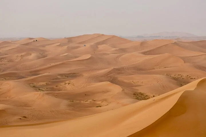 Premium Desert Safari Evening with Dinner and Show