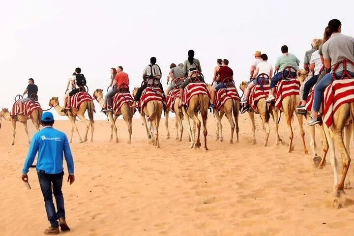 Premium Desert Safari with 45 Minutes of Dune Bashing, BBQ Dinner & Belly Dance