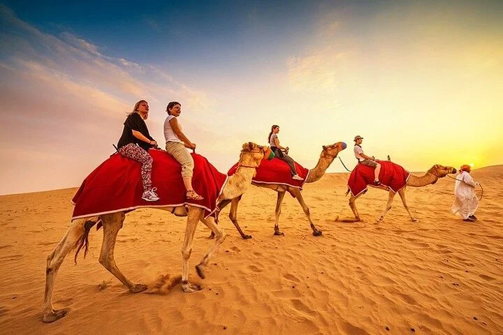 Premium Desert Safari With BBQ Dinner & Belly Dance