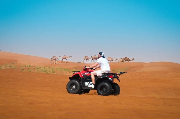Premium Dubai Morning & Evening Desert Safari, Sandboard & Camel