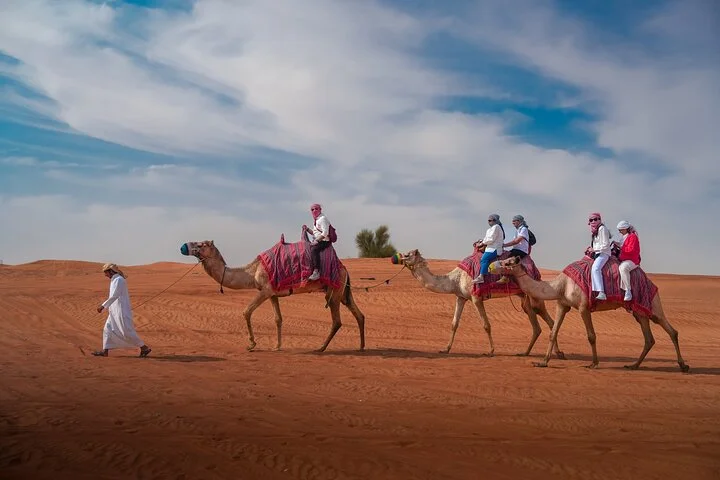 Premium Dubai Morning & Evening Desert Safari, Sandboard & Camel