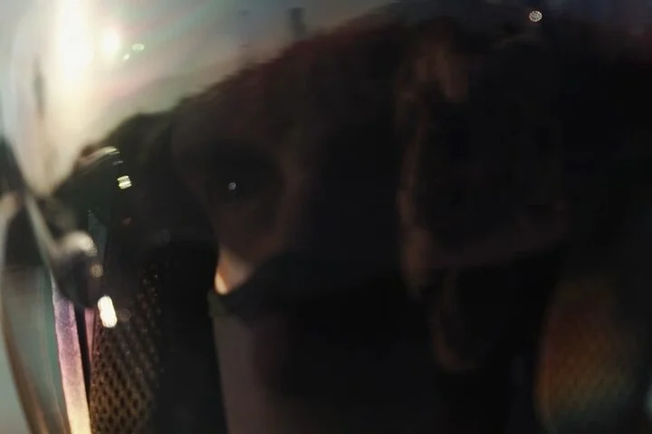 Premium Passenger Motorcycle Dubai City Private Tour