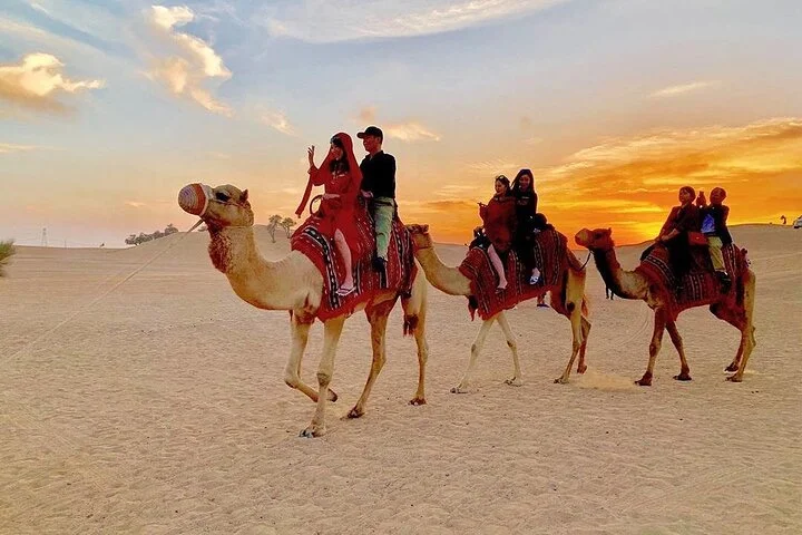 Private 4 Hour Evening Desert Safari