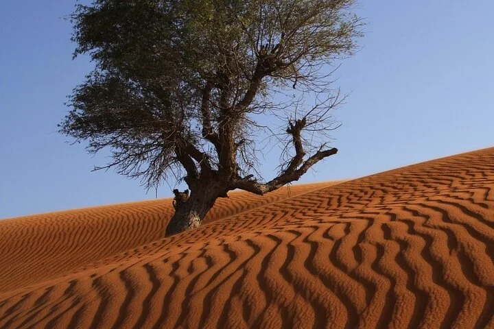 Private 4x4 Mleiha Archaeological Desert Safari with Museum visit