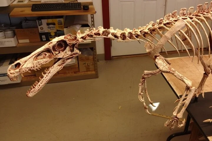 Private 4x4 Mleiha Archaeological Desert Safari with Museum visit