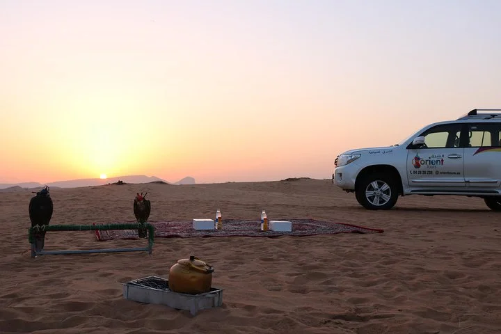 Private 4x4 Sunrise and Wildlife Experience in the Desert
