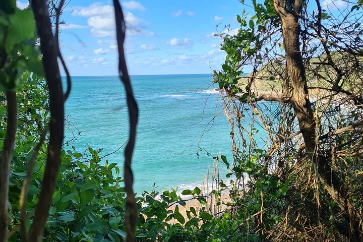 Private Basque Country Tour Hidden Villages and Culinary Delights