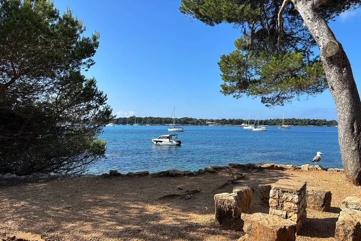 Private Boat Tour on the Côte d'Azur ( Nice - Monaco or Nice - Cannes )