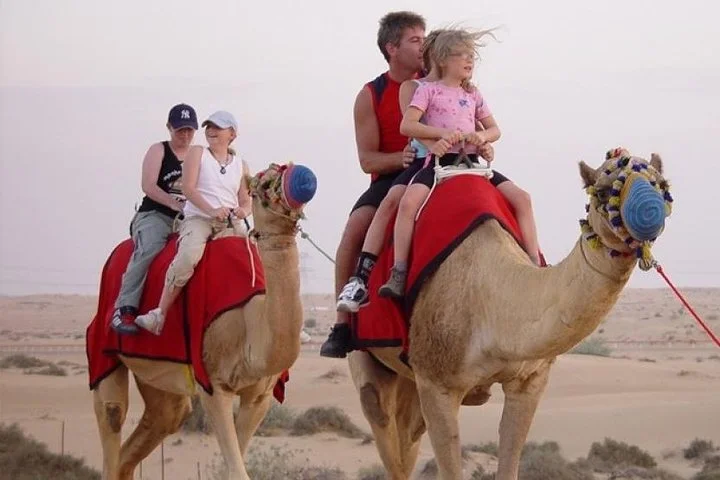 Private - Camel Ride Tour with Dune Bashing, BBQ Dinner and Belly Dance