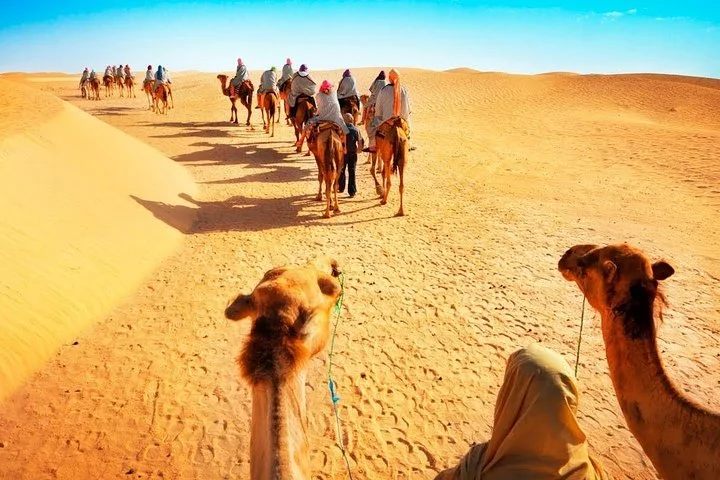 Private - Camel Ride Tour with Dune Bashing, BBQ Dinner and Belly Dance