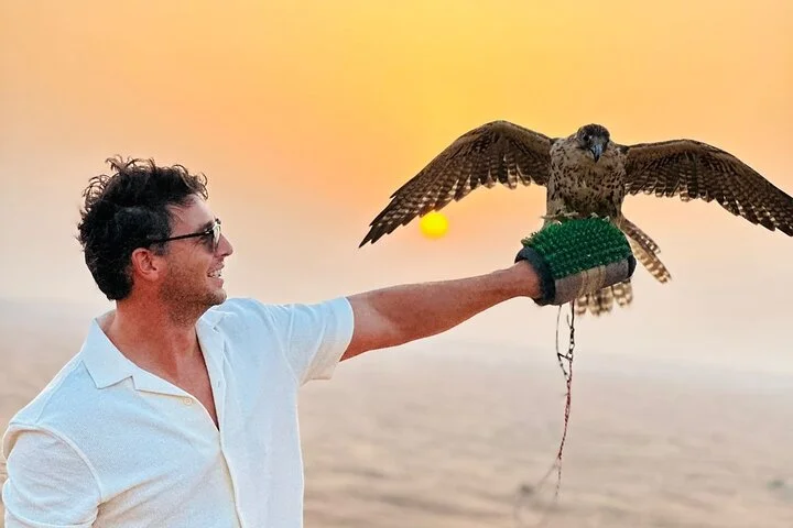 Private Car: Evening Desert Safari with BBQ Dinner