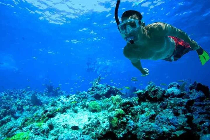 Private Daily Boat Tour !